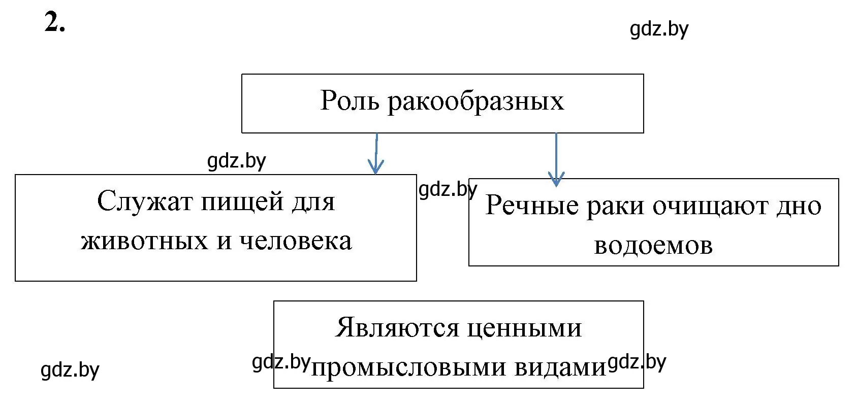 Решение номер 2 (страница 38) гдз по биологии 8 класс Лисов, рабочая тетрадь