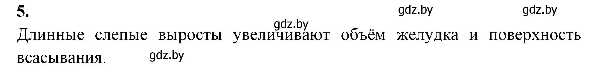 Решение номер 5 (страница 39) гдз по биологии 8 класс Лисов, рабочая тетрадь