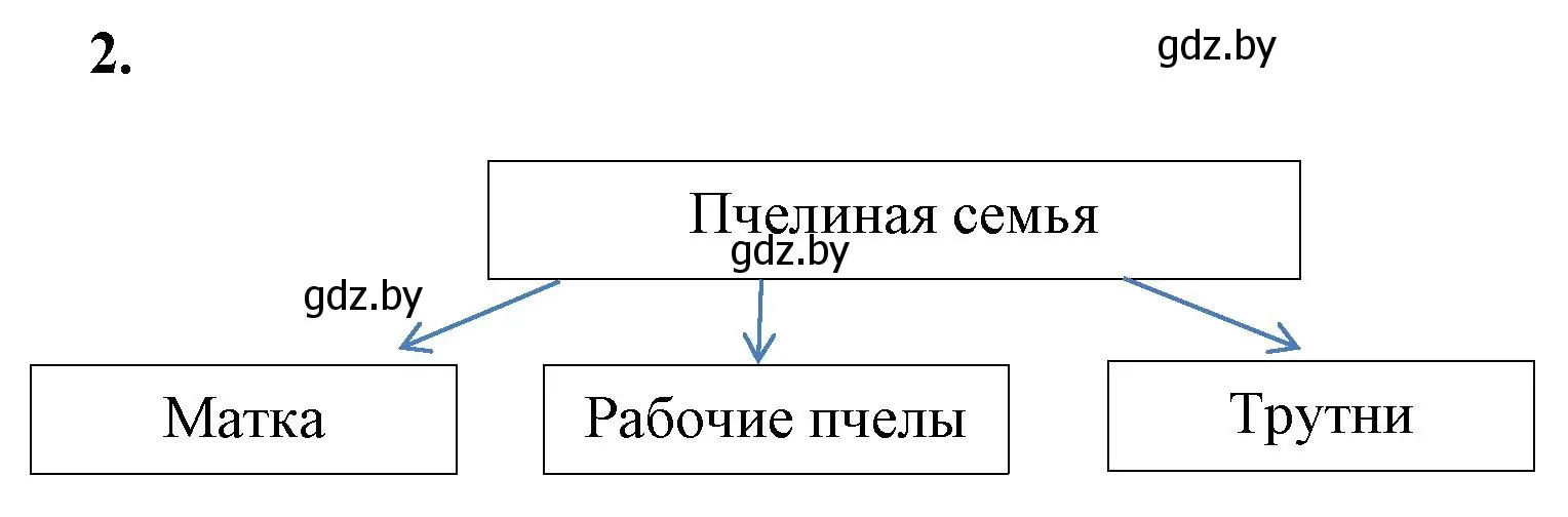 Решение номер 2 (страница 55) гдз по биологии 8 класс Лисов, рабочая тетрадь