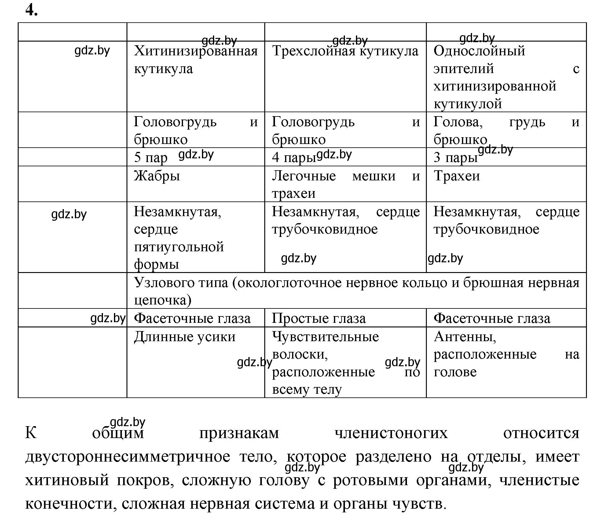 Решение номер 4 (страница 58) гдз по биологии 8 класс Лисов, рабочая тетрадь
