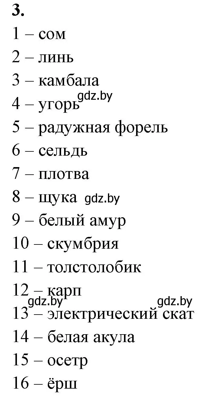 Решение номер 3 (страница 68) гдз по биологии 8 класс Лисов, рабочая тетрадь