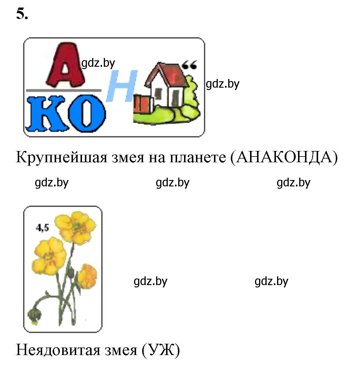 Решение номер 5 (страница 80) гдз по биологии 8 класс Лисов, рабочая тетрадь