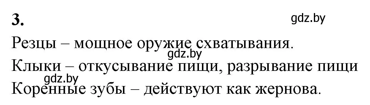 Решение номер 3 (страница 104) гдз по биологии 8 класс Лисов, рабочая тетрадь