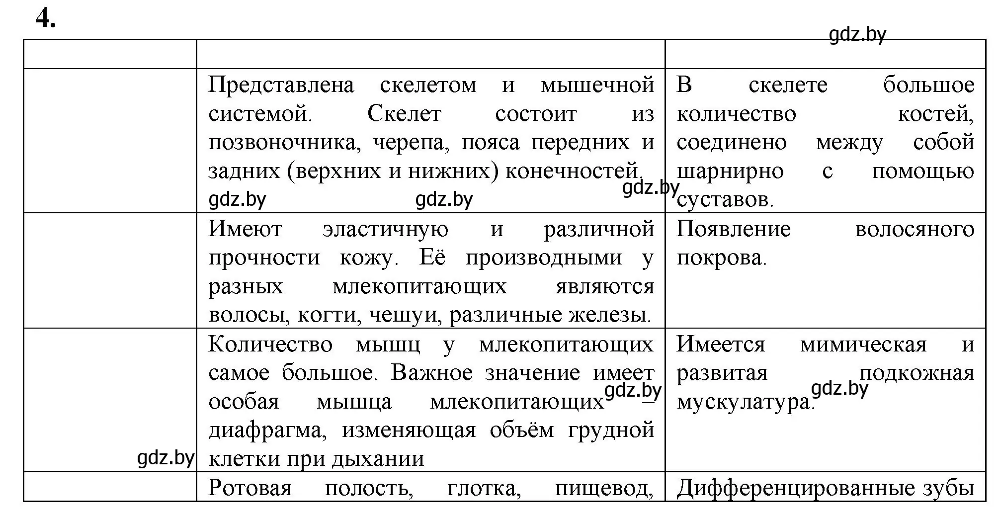 Решение номер 4 (страница 104) гдз по биологии 8 класс Лисов, рабочая тетрадь