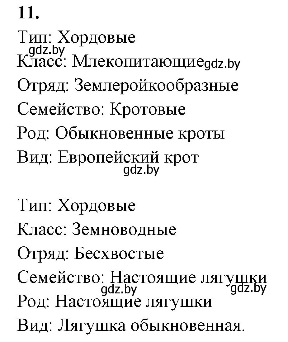 Решение номер 11 (страница 125) гдз по биологии 8 класс Лисов, рабочая тетрадь