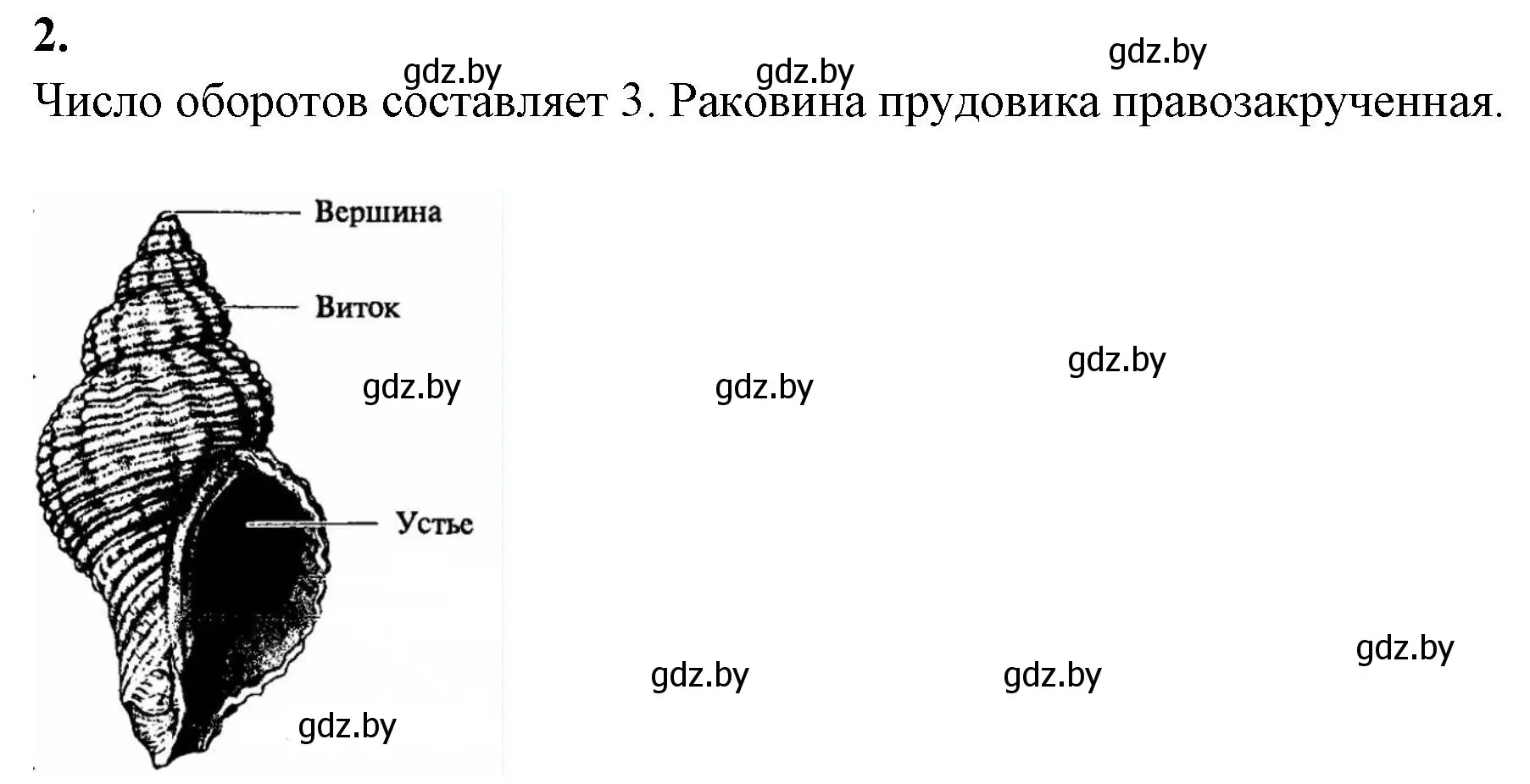 Решение номер 2 (страница 23) гдз по биологии 8 класс Лисов, рабочая тетрадь