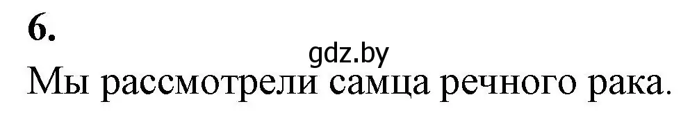 Решение номер 6 (страница 36) гдз по биологии 8 класс Лисов, рабочая тетрадь