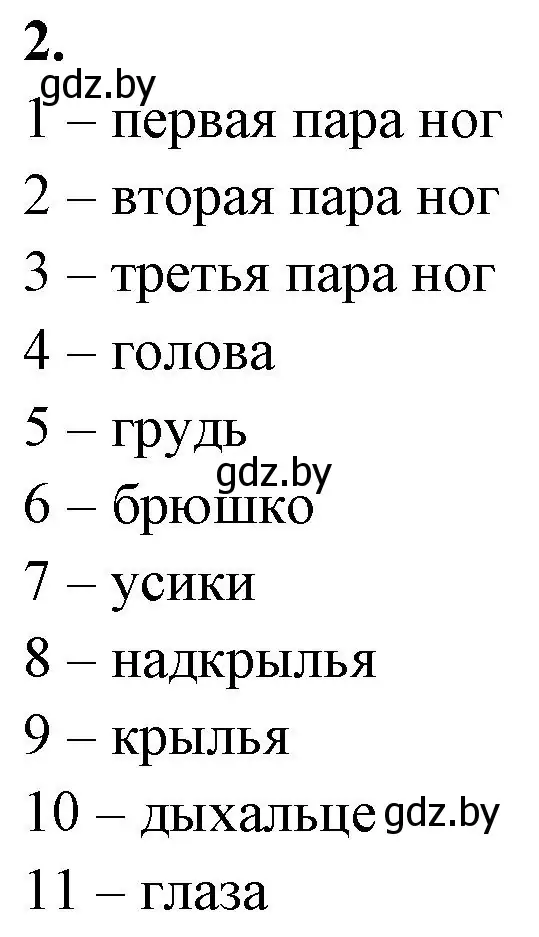 Решение номер 2 (страница 43) гдз по биологии 8 класс Лисов, рабочая тетрадь