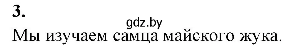 Решение номер 3 (страница 43) гдз по биологии 8 класс Лисов, рабочая тетрадь