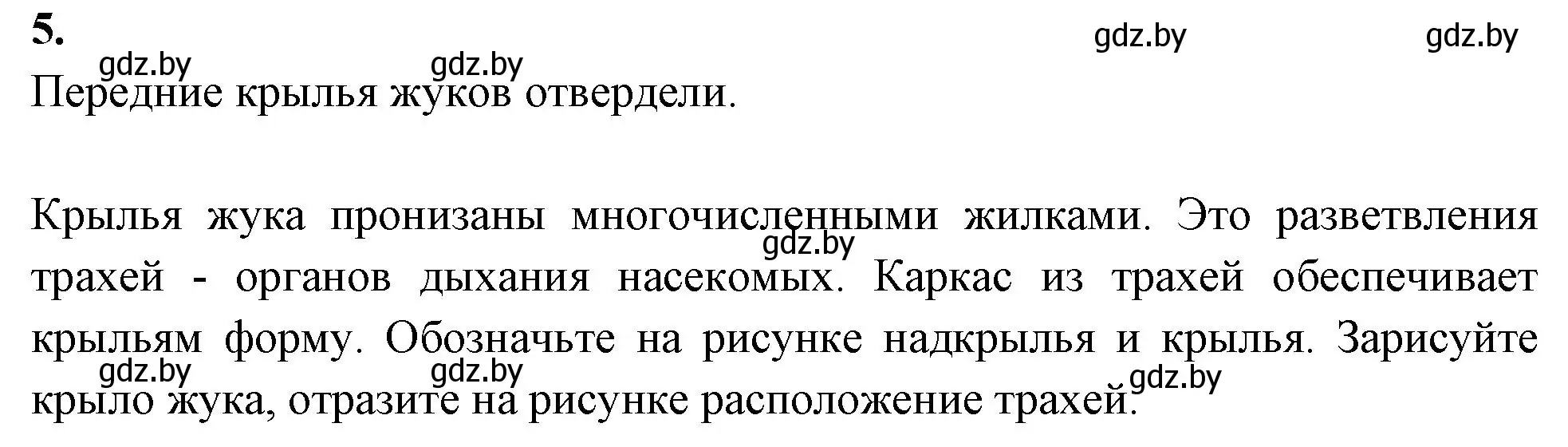 Решение номер 5 (страница 44) гдз по биологии 8 класс Лисов, рабочая тетрадь