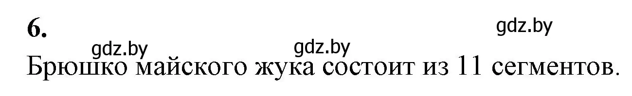 Решение номер 6 (страница 45) гдз по биологии 8 класс Лисов, рабочая тетрадь