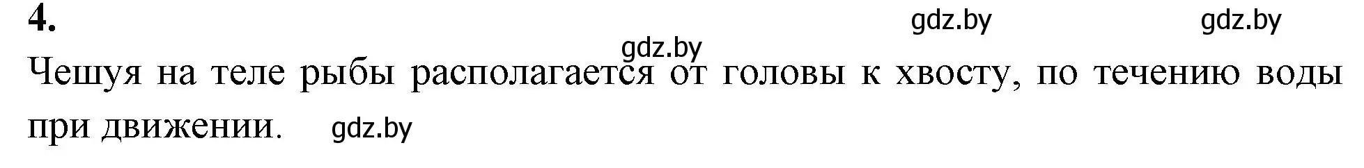 Решение номер 4 (страница 62) гдз по биологии 8 класс Лисов, рабочая тетрадь