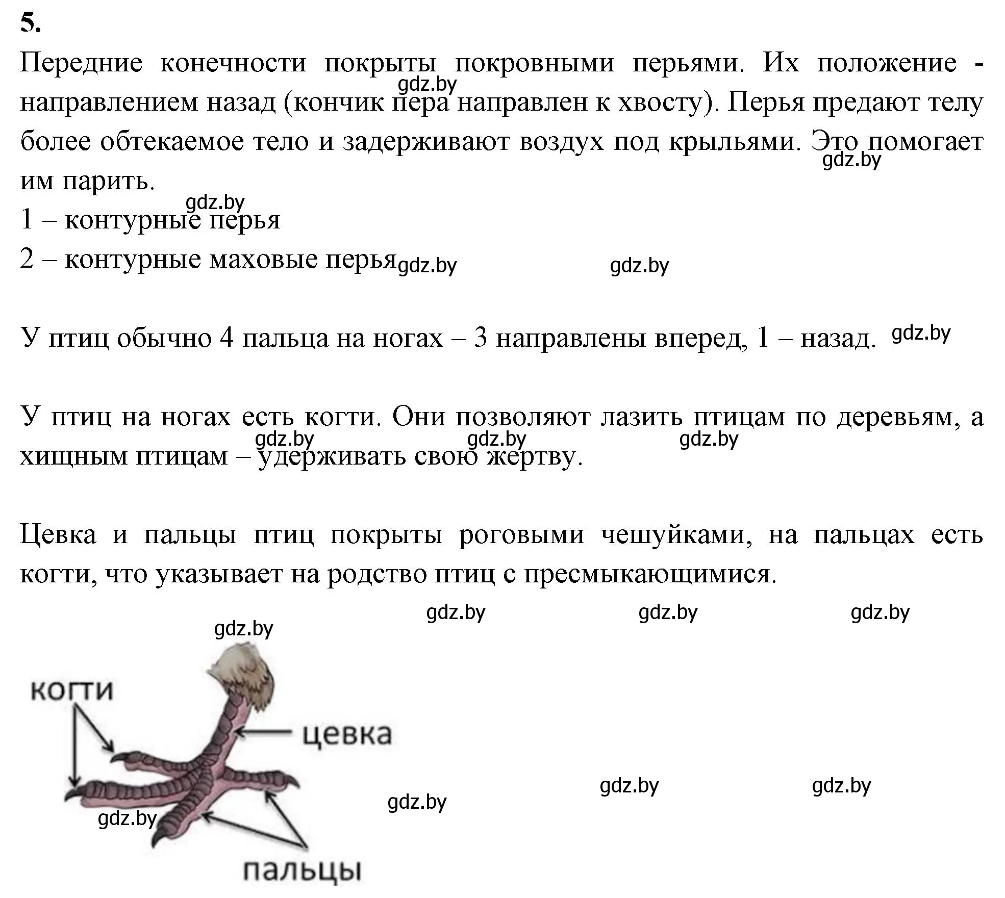 Решение номер 5 (страница 84) гдз по биологии 8 класс Лисов, рабочая тетрадь