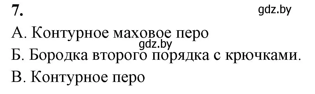 Решение номер 7 (страница 85) гдз по биологии 8 класс Лисов, рабочая тетрадь