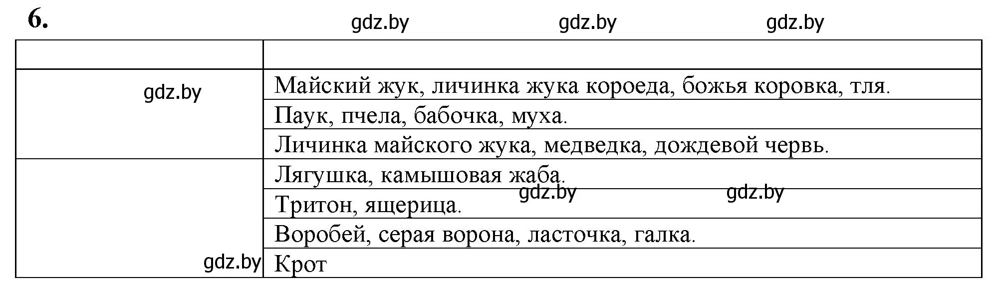 Решение номер 6 (страница 29) гдз по биологии 8 класс Рогожников, тетрадь для экскурсий, лабораторных и практических работ
