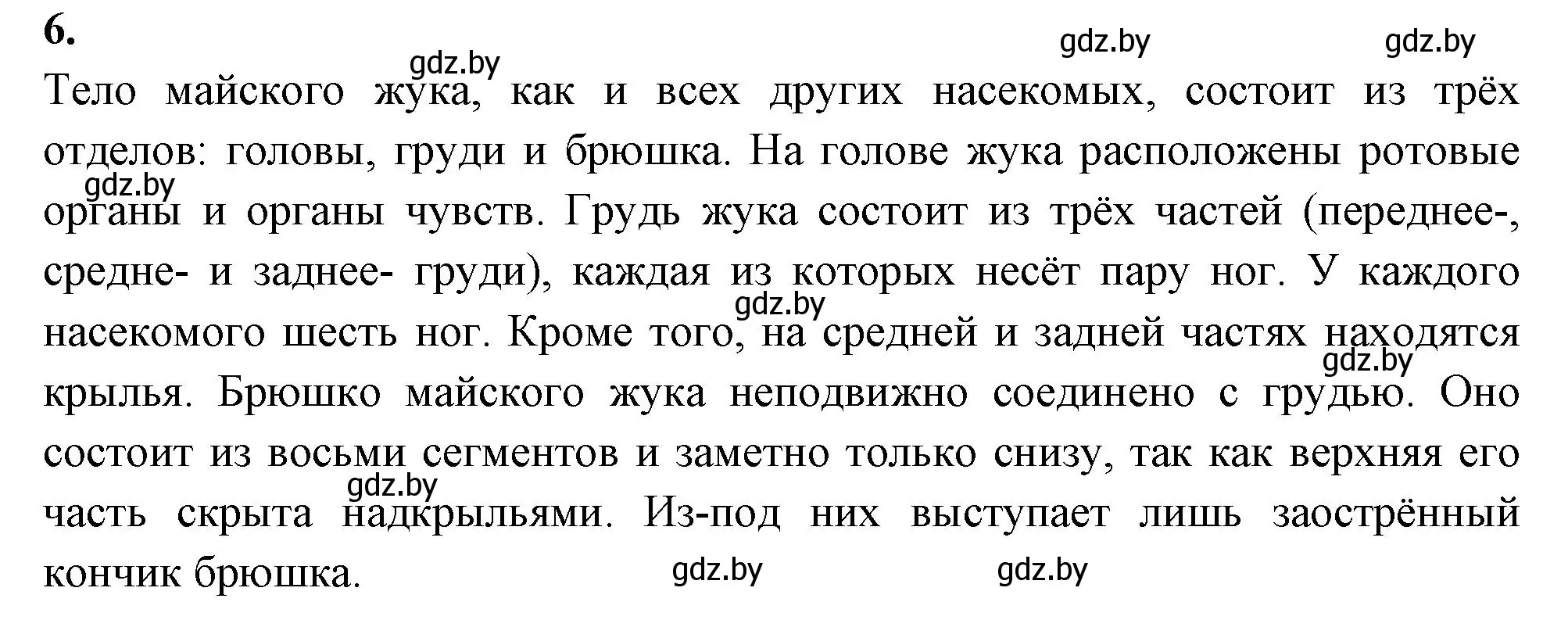 Решение номер 6 (страница 13) гдз по биологии 8 класс Рогожников, тетрадь для экскурсий, лабораторных и практических работ