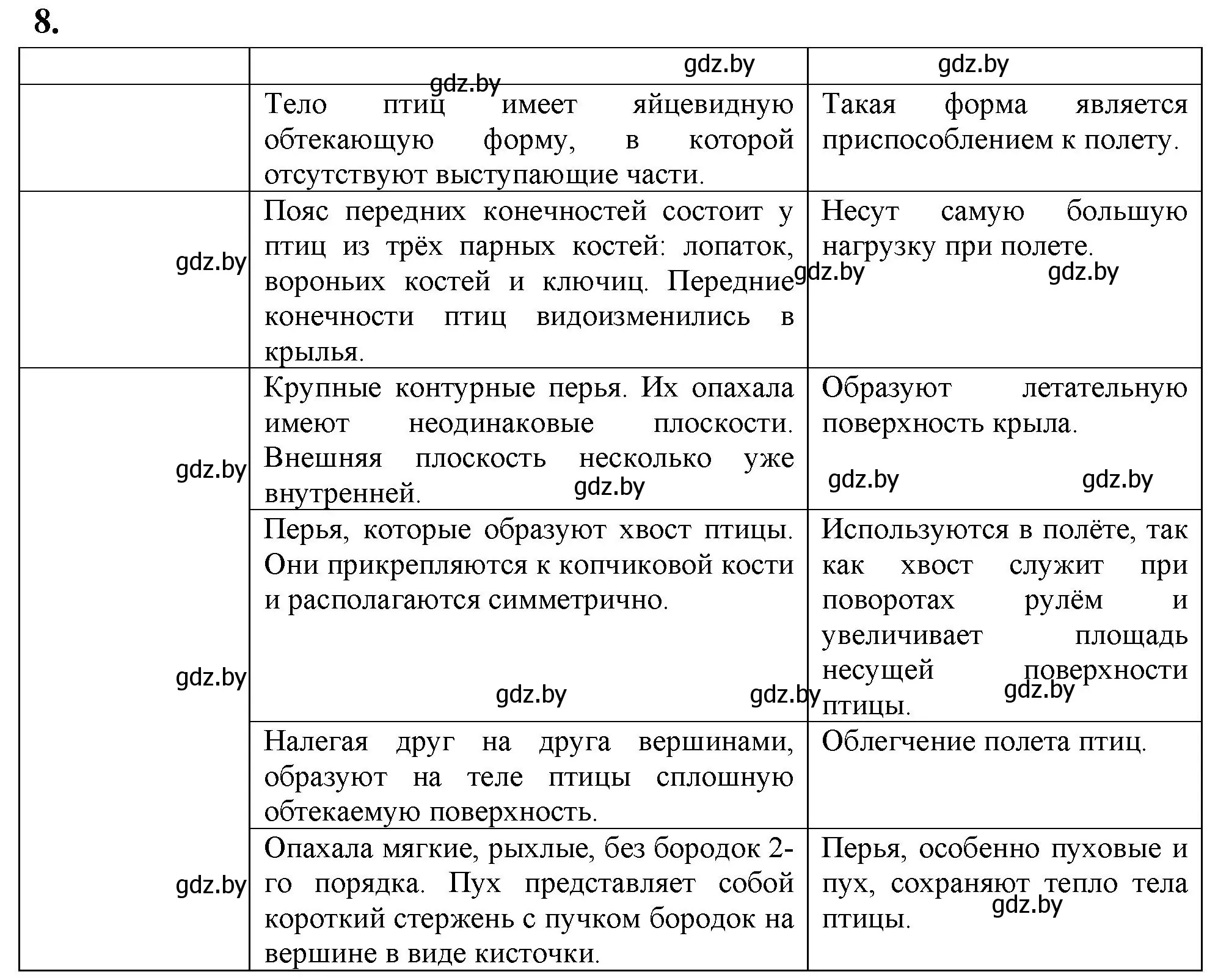 Решение номер 8 (страница 19) гдз по биологии 8 класс Рогожников, тетрадь для экскурсий, лабораторных и практических работ