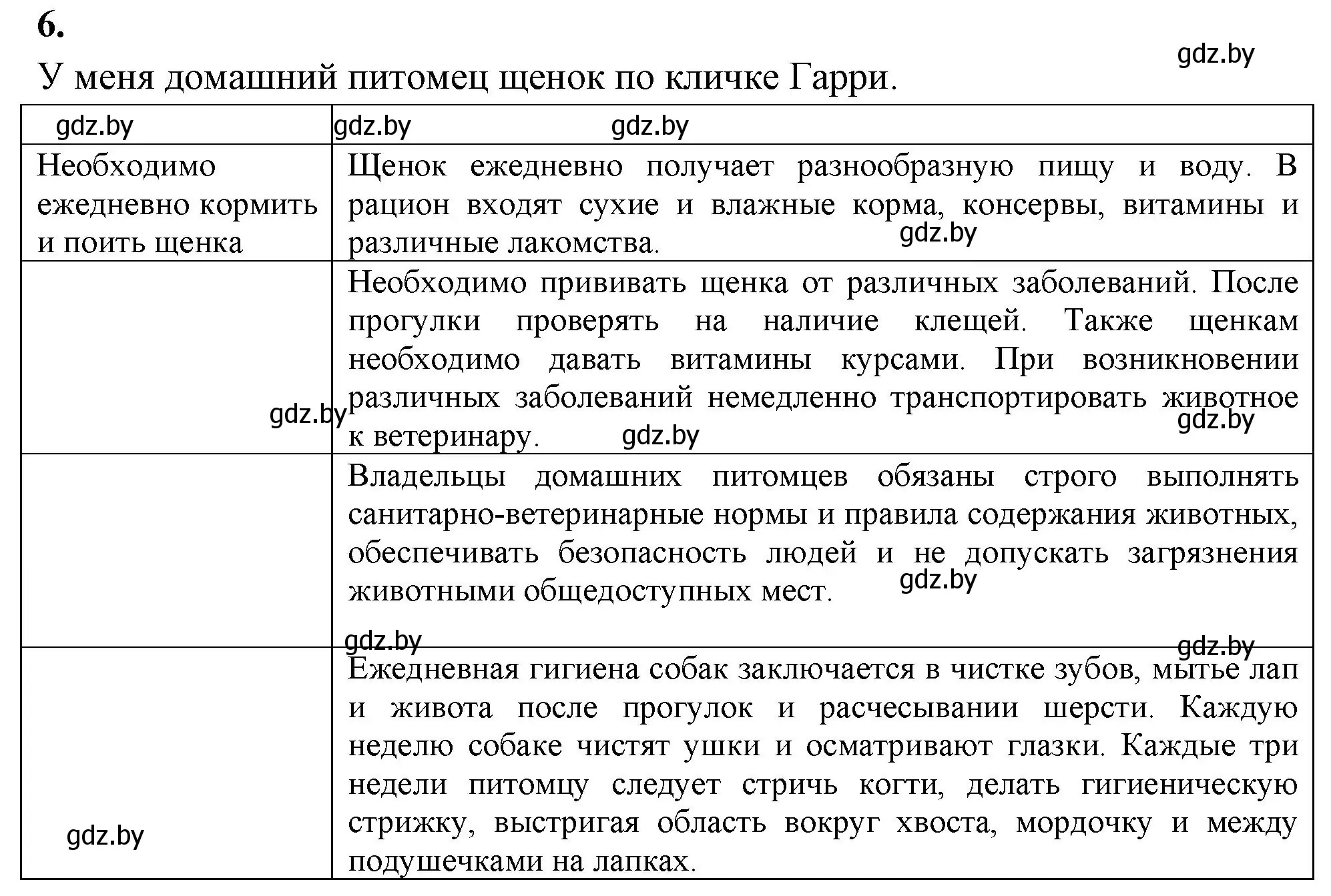 Решение номер 6 (страница 25) гдз по биологии 8 класс Рогожников, тетрадь для экскурсий, лабораторных и практических работ