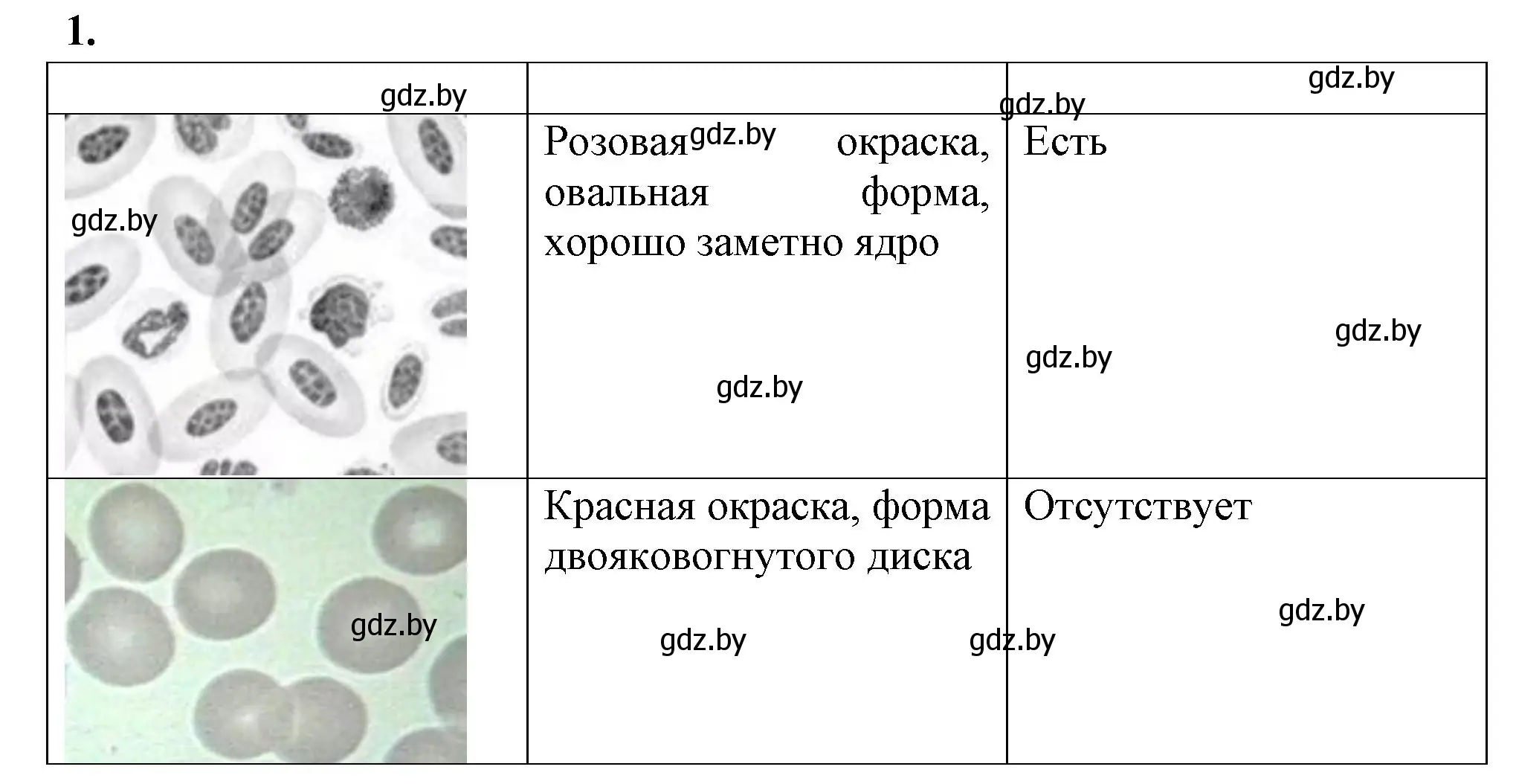 Решение номер 1 (страница 15) гдз по биологии 9 класс Борисов, Антипенко, тетрадь для лабораторных и практических работ