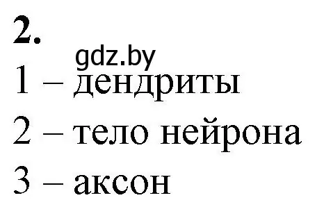 Решение номер 2 (страница 15) гдз по биологии 9 класс Борисов, Антипенко, рабочая тетрадь