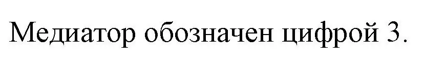 Решение номер 3 (страница 15) гдз по биологии 9 класс Борисов, Антипенко, рабочая тетрадь