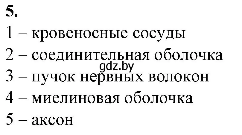 Решение номер 5 (страница 16) гдз по биологии 9 класс Борисов, Антипенко, рабочая тетрадь