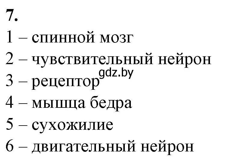 Решение номер 7 (страница 16) гдз по биологии 9 класс Борисов, Антипенко, рабочая тетрадь