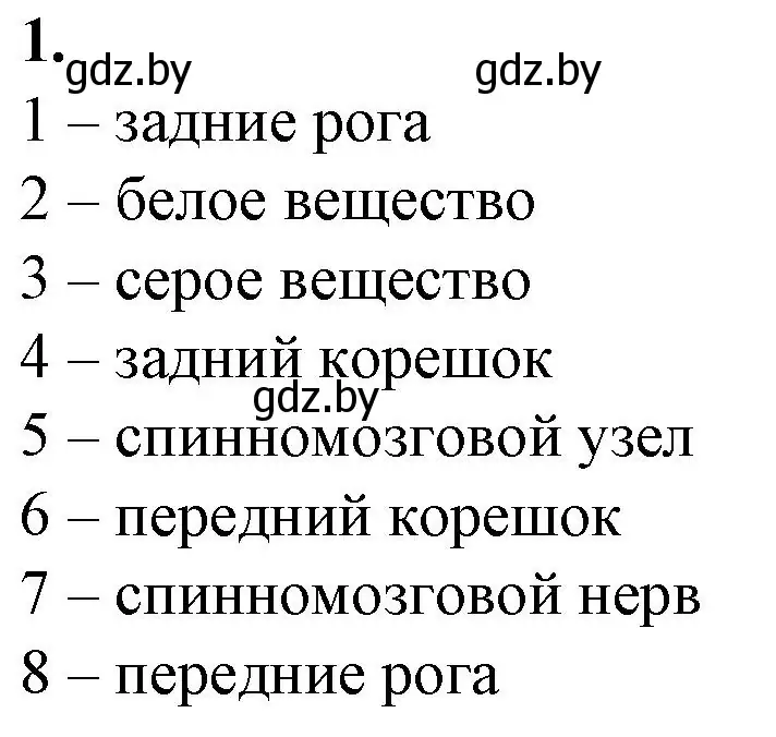 Решение номер 1 (страница 18) гдз по биологии 9 класс Борисов, Антипенко, рабочая тетрадь