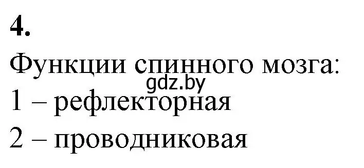 Решение номер 4 (страница 19) гдз по биологии 9 класс Борисов, Антипенко, рабочая тетрадь