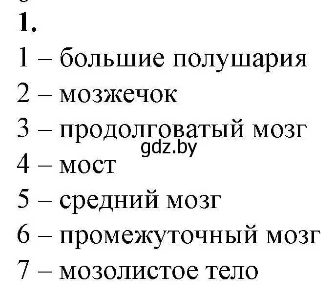 Решение номер 1 (страница 19) гдз по биологии 9 класс Борисов, Антипенко, рабочая тетрадь