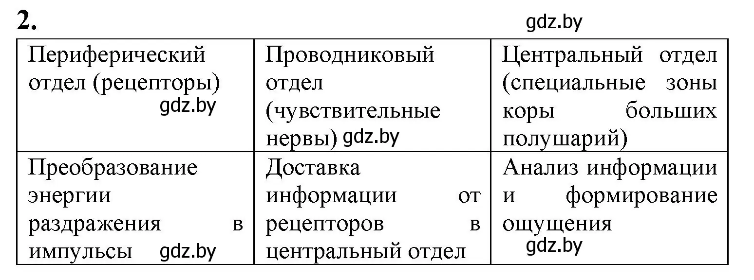 Решение номер 2 (страница 24) гдз по биологии 9 класс Борисов, Антипенко, рабочая тетрадь