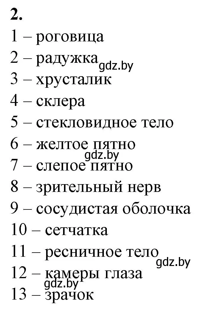 Решение номер 2 (страница 25) гдз по биологии 9 класс Борисов, Антипенко, рабочая тетрадь