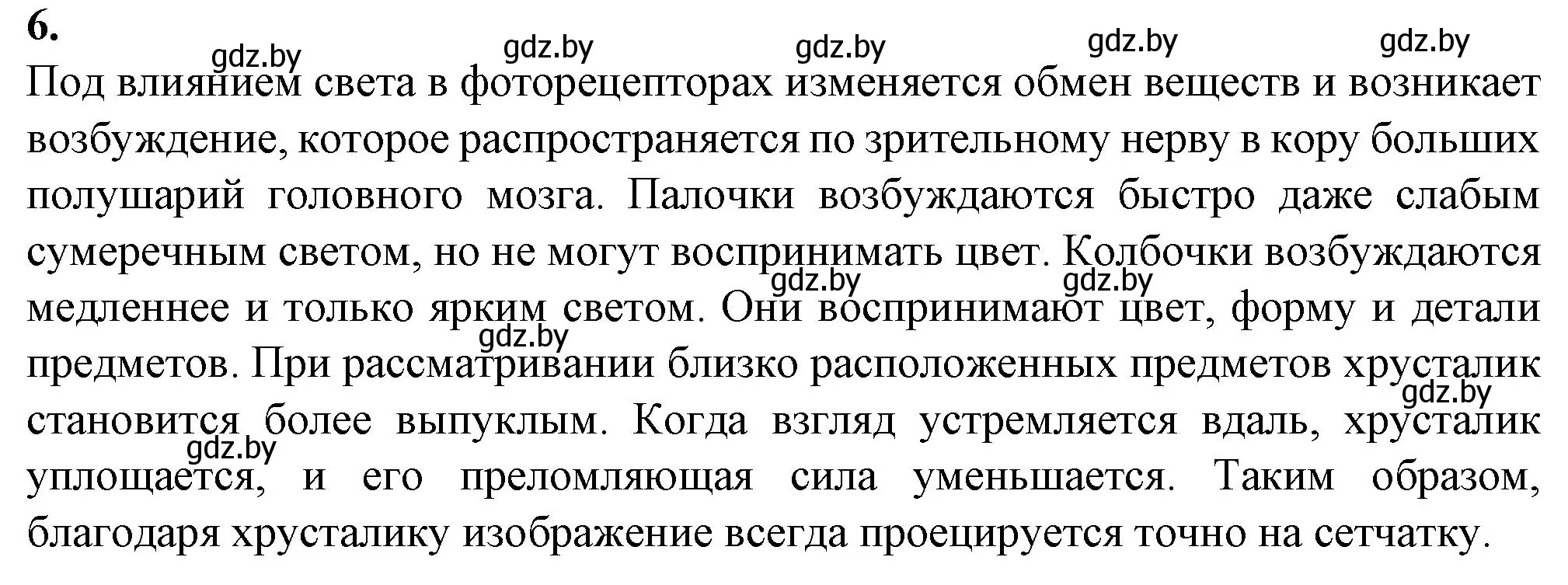 Решение номер 6 (страница 28) гдз по биологии 9 класс Борисов, Антипенко, рабочая тетрадь