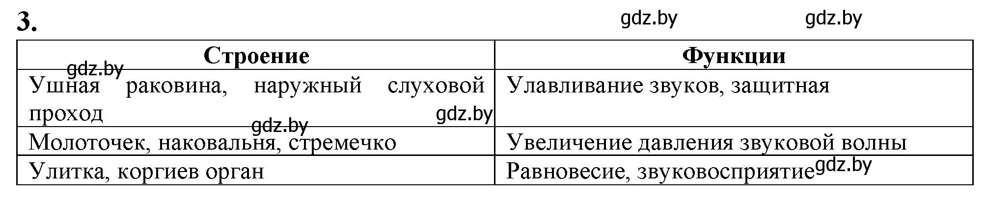 Решение номер 3 (страница 31) гдз по биологии 9 класс Борисов, Антипенко, рабочая тетрадь