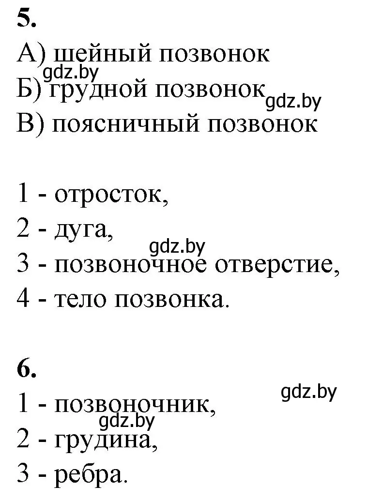 Решение номер 5 (страница 42) гдз по биологии 9 класс Борисов, Антипенко, рабочая тетрадь