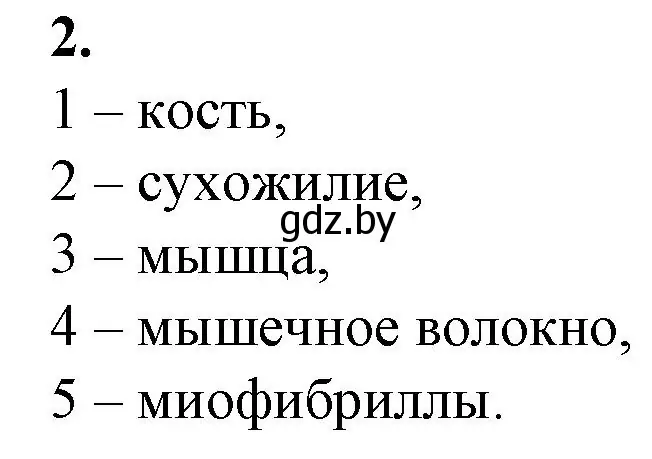 Решение номер 2 (страница 46) гдз по биологии 9 класс Борисов, Антипенко, рабочая тетрадь