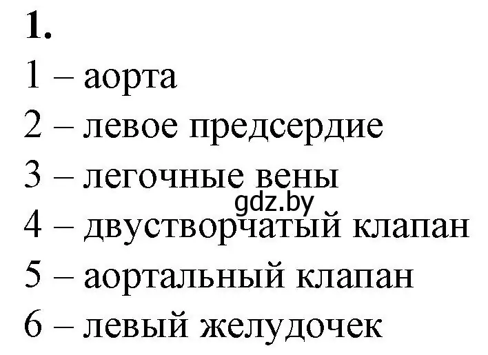 Решение номер 1 (страница 59) гдз по биологии 9 класс Борисов, Антипенко, рабочая тетрадь