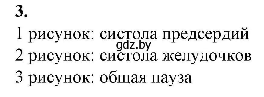 Решение номер 3 (страница 60) гдз по биологии 9 класс Борисов, Антипенко, рабочая тетрадь