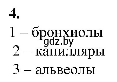 Решение номер 4 (страница 69) гдз по биологии 9 класс Борисов, Антипенко, рабочая тетрадь