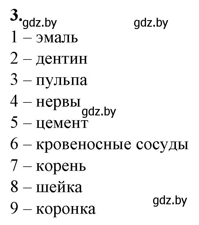 Решение номер 3 (страница 85) гдз по биологии 9 класс Борисов, Антипенко, рабочая тетрадь