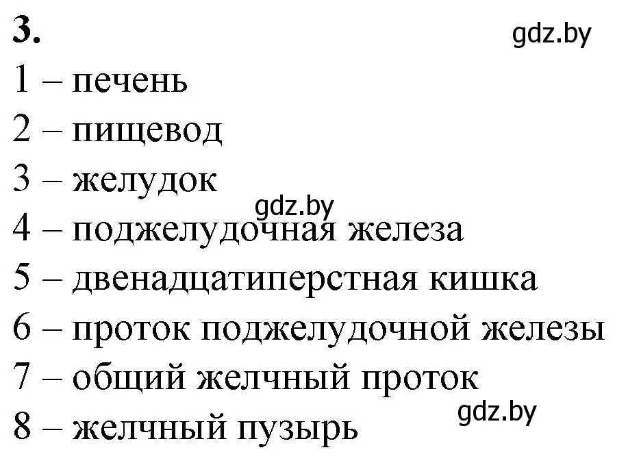 Решение номер 3 (страница 88) гдз по биологии 9 класс Борисов, Антипенко, рабочая тетрадь