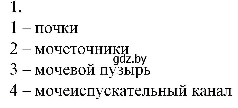 Решение номер 1 (страница 92) гдз по биологии 9 класс Борисов, Антипенко, рабочая тетрадь