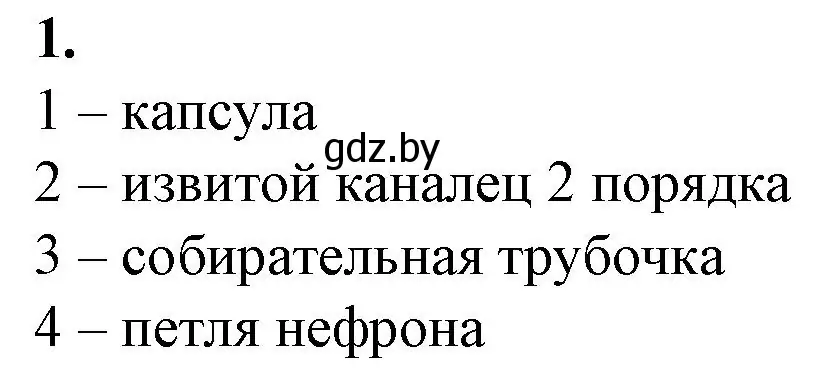 Решение номер 1 (страница 93) гдз по биологии 9 класс Борисов, Антипенко, рабочая тетрадь