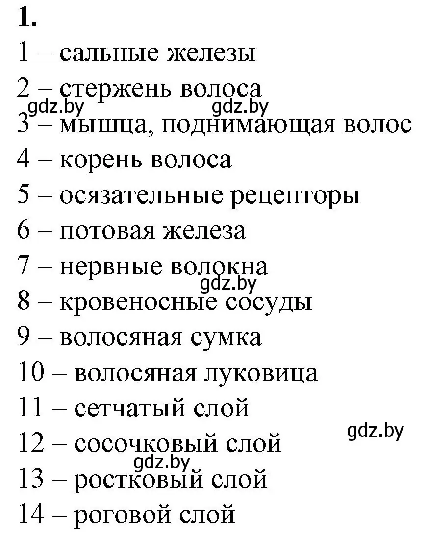 Решение номер 1 (страница 96) гдз по биологии 9 класс Борисов, Антипенко, рабочая тетрадь