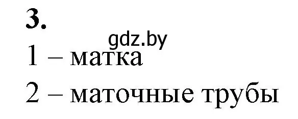 Решение номер 3 (страница 103) гдз по биологии 9 класс Борисов, Антипенко, рабочая тетрадь