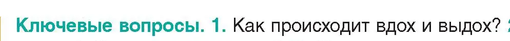 Условие  Ключевые вопросы 1 (страница 128) гдз по биологии 9 класс Борисов, Антипенко, учебник