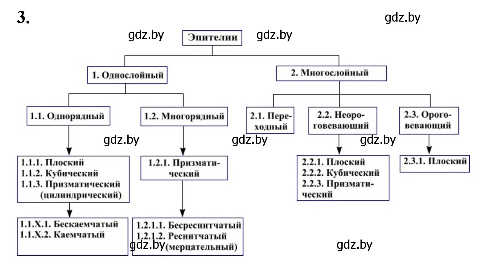 Решение номер 3 (страница 5) гдз по биологии 9 класс Лисов, рабочая тетрадь