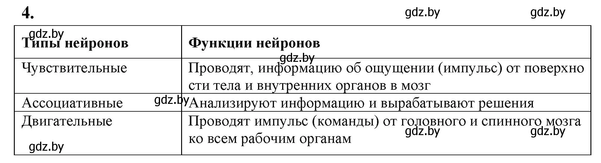 Решение номер 4 (страница 15) гдз по биологии 9 класс Лисов, рабочая тетрадь