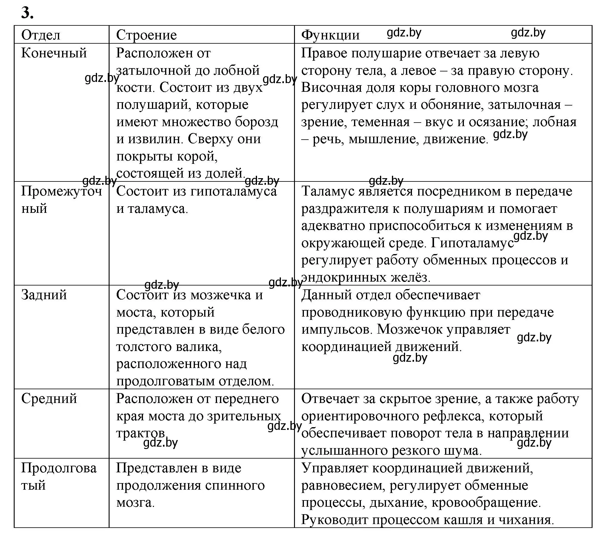 Решение номер 3 (страница 22) гдз по биологии 9 класс Лисов, рабочая тетрадь