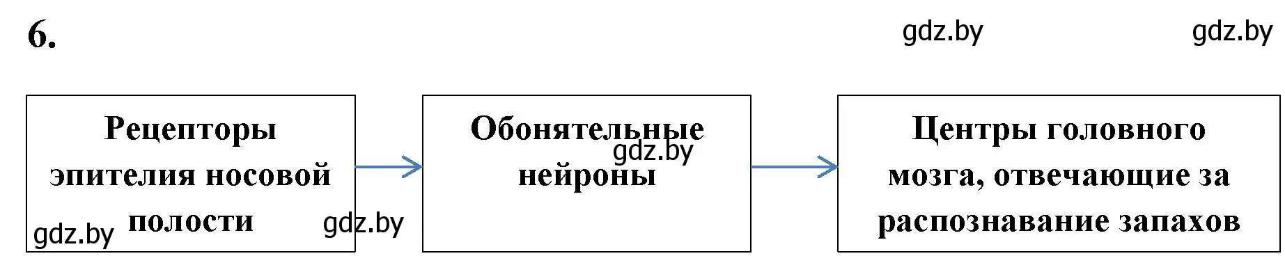 Решение номер 6 (страница 27) гдз по биологии 9 класс Лисов, рабочая тетрадь